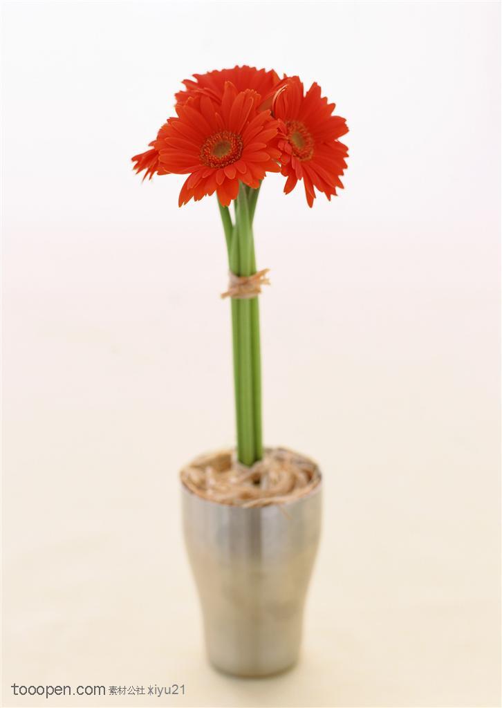 花卉物语-花瓶中的红色花束