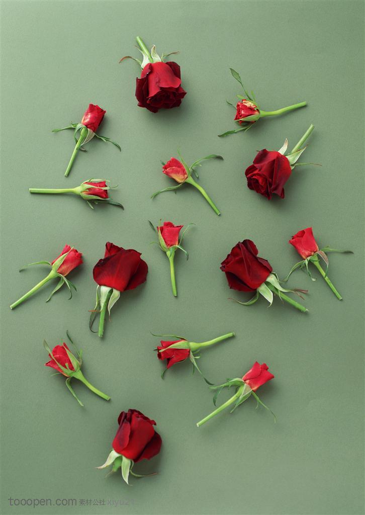 花卉物语-散落的红色玫瑰花