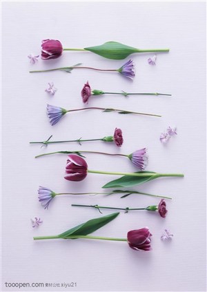 花卉物语-摆放整齐的花枝