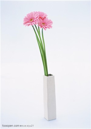 花卉物语-漂亮花瓶中的花束