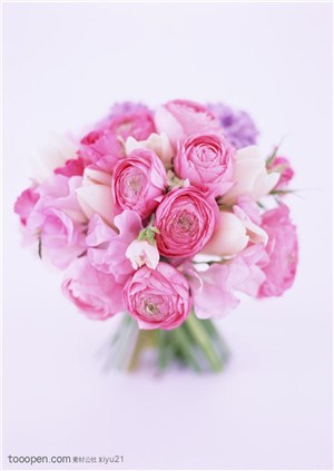 花卉物语-一束竖起的玫瑰花