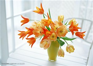 花卉物语-一束漂亮的橙色郁金香
