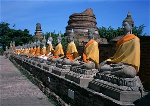世界风情-整齐的佛教雕像