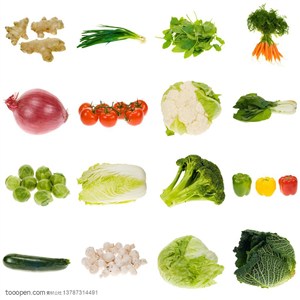 新鲜蔬菜-由生姜、花菜、西红柿、包菜、西兰花等各类蔬菜整齐的摆放在一起