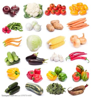 新鲜蔬菜-整齐的摆放在一起的各类蔬菜水果