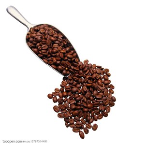 俯视铲子里的咖啡豆