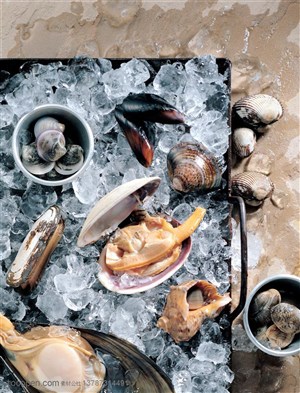 食材-俯视盒子里装着的冰块和螃蟹、扇贝等各类海鲜