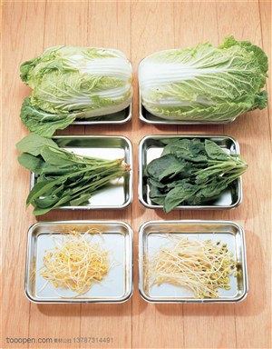 新鲜蔬菜-摆放在铁盒子里的大白菜、菠菜、豆芽菜