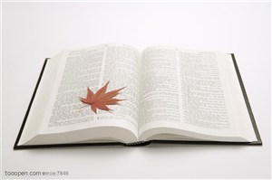 书籍特写-摊开的一本书籍中夹着一片枫叶