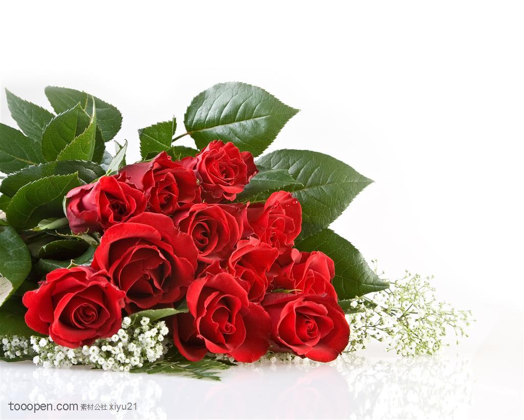 花卉物语-堆起的红色玫瑰