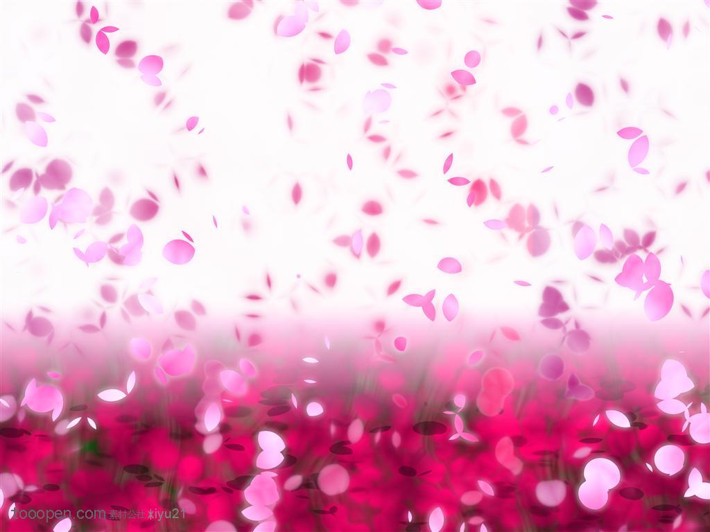 花卉物语-落下的粉色花瓣