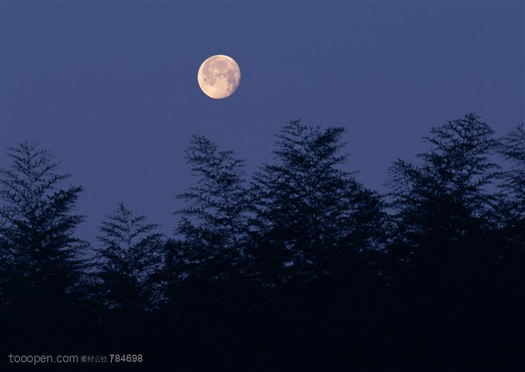 树木树叶-山林间的天空上挂着一轮明月