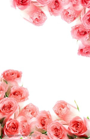 花卉物语-粉色的玫瑰花花框