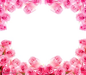 花卉物语-粉色的花瓣