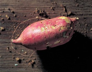 新鲜蔬菜-俯视一个红薯特写