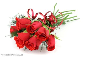 花卉物语-一束斜放的红色玫瑰花