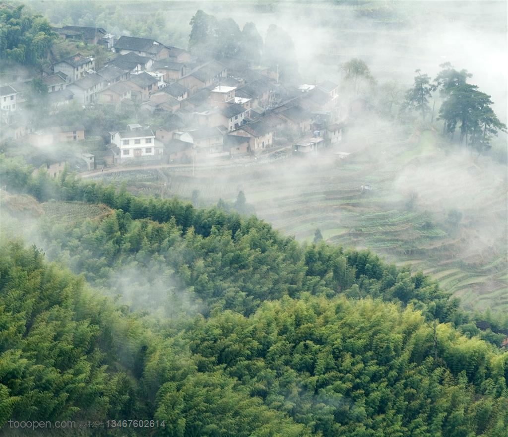 竹林风景- 俯视竹林小山丘和梯田上的小村庄