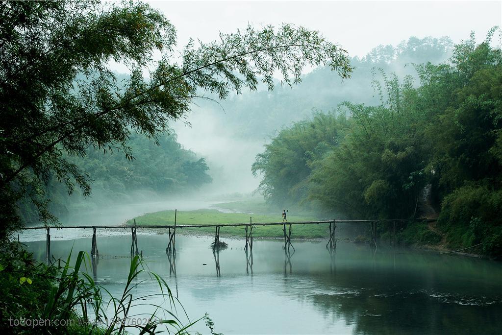 竹林风景- 河流两旁的竹林和中间的小桥