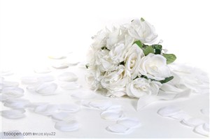 花卉物语-桌面上的白色玫瑰