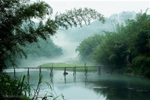 竹林风景- 河流两旁的竹林和中间的小桥