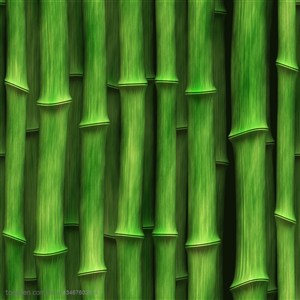 竹林风景- 竖着的一排翠绿竹竿特写