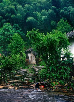 竹林风景- 竹林山脚下的房子和在溪水中洗衣服的老人