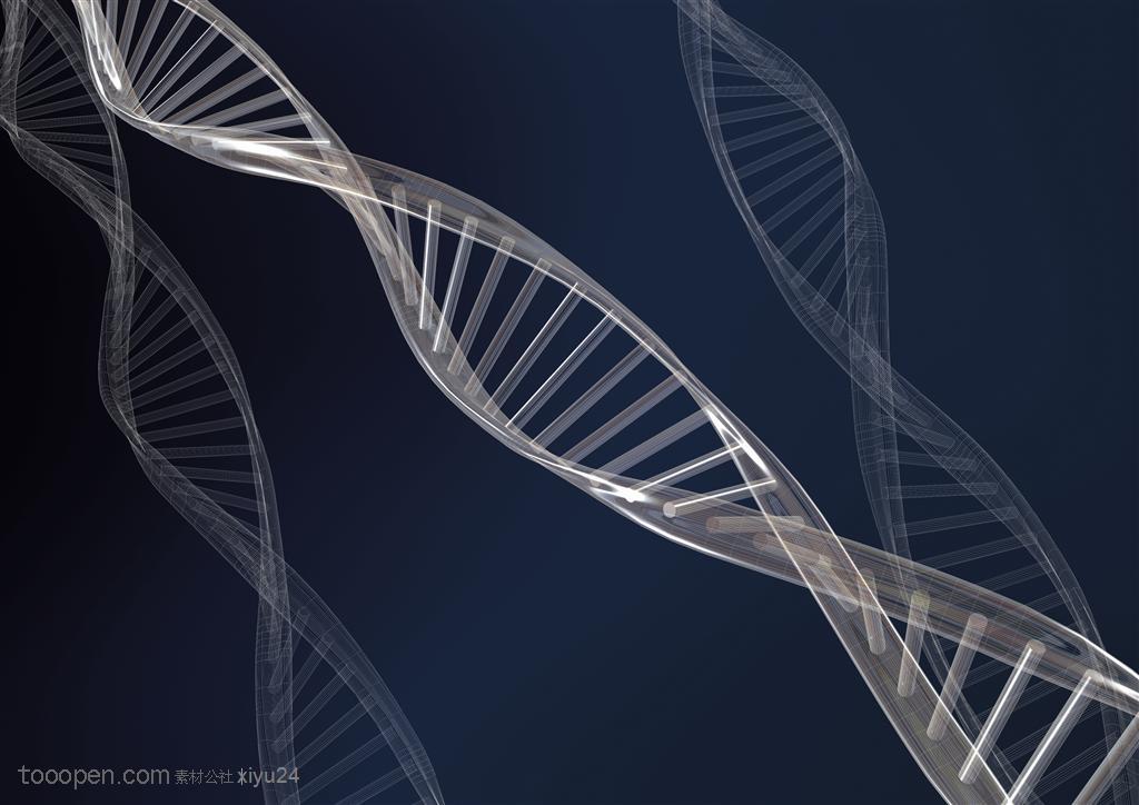 生化科技-螺旋形的DNA结构