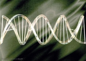 生化科技-螺旋型的DNA结构