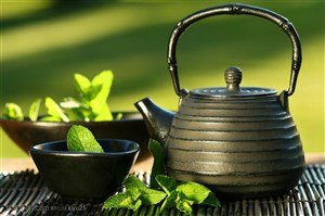 户外SPA-薄荷与水壶茶壶