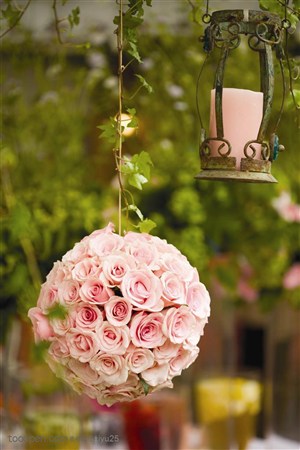 新婚物语-圆形的玫瑰花球