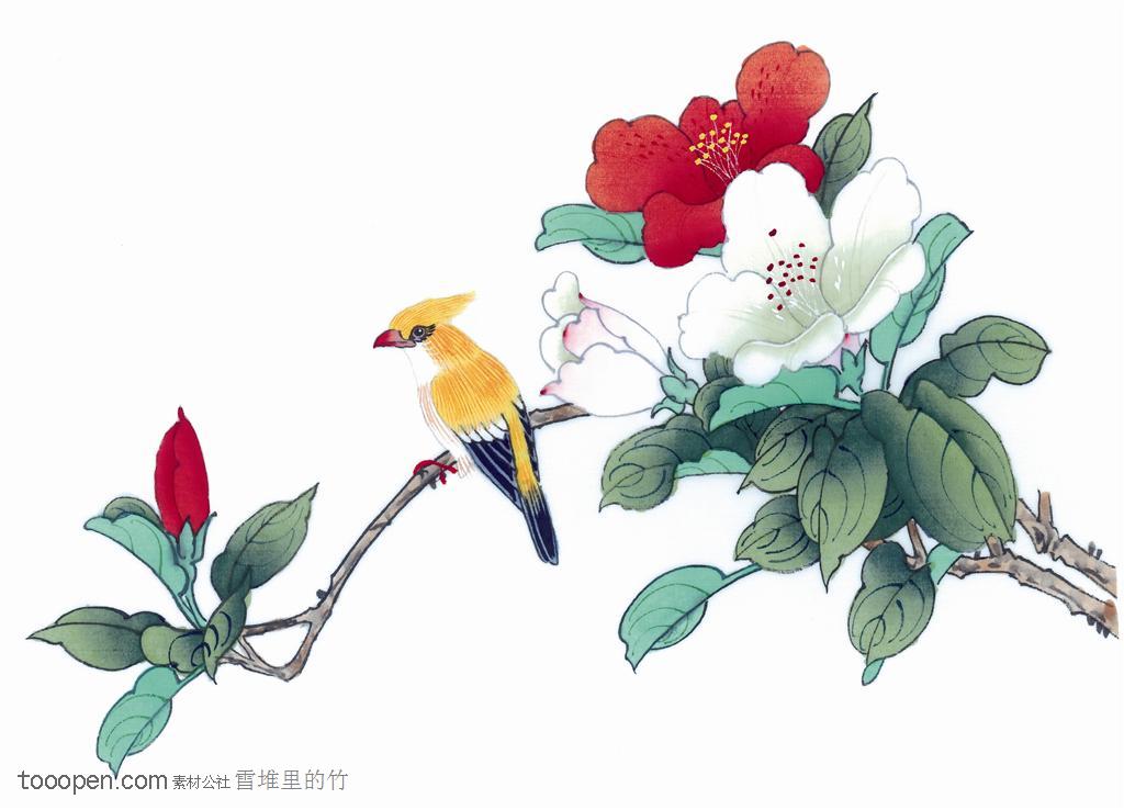 中国画水墨画-花枝上的黄鹂鸟