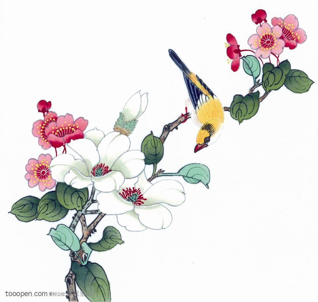 中国画-停在牡丹花上的喜鹊