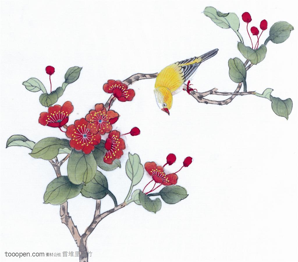 中国国画工笔花鸟画---喜鹊枝头看花开