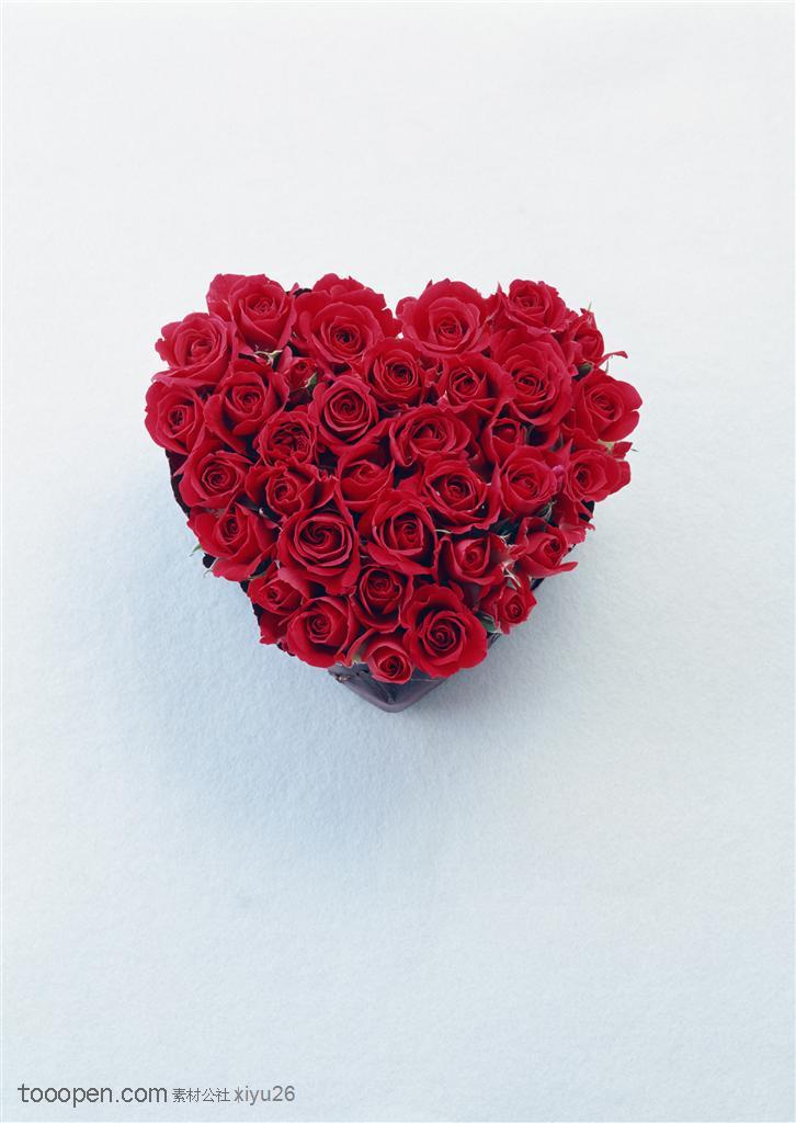 情人节物语-鲜红的心形玫瑰