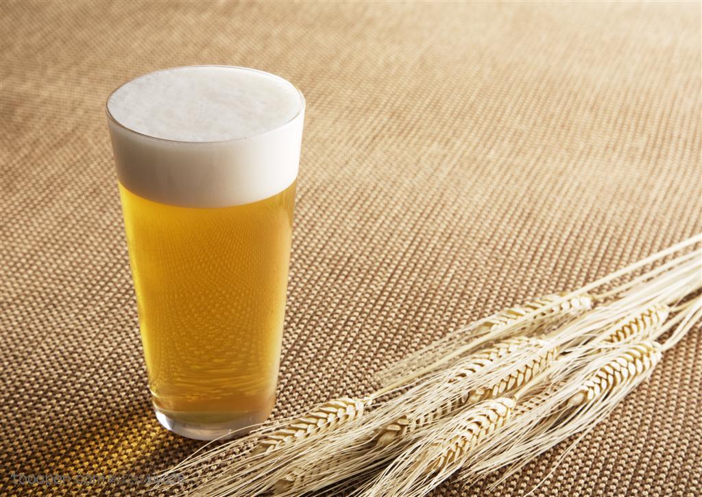 酒水饮料-小麦与一杯啤酒