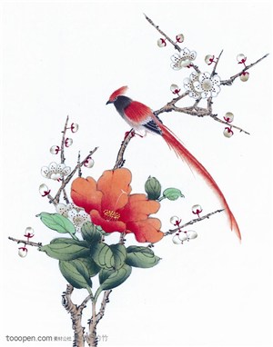 冬梅枝头上的喜鹊水墨画中国画