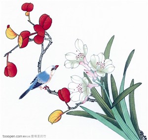 中国国画-水仙花 工笔画树枝小鸟