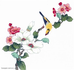 中国画-停在牡丹花上的喜鹊