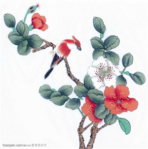 喜鹊站在花枝上花朵水墨图中国画