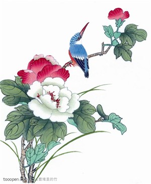 中国画水墨画-花朵花卉上的翠鸟