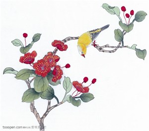 中国国画工笔花鸟画---喜鹊枝头看花开