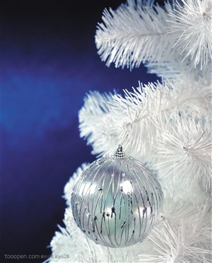 圣诞气息-透明的圣诞球