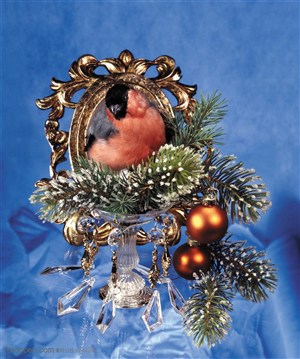 圣诞气息-小圣诞树中的小鸟