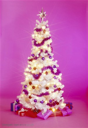 圣诞气息-星光闪耀的圣诞树