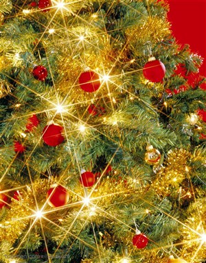 圣诞气息-星光闪耀的圣诞树