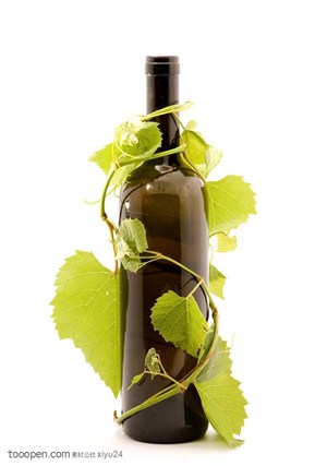 伏特加美酒-新鲜的葡萄藤蔓与葡萄酒