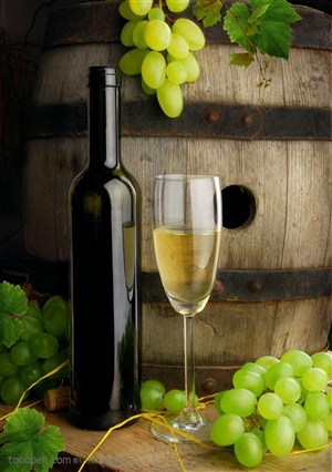 伏特加美酒-新鲜的葡萄与美酒