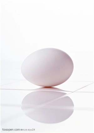 新鲜鸡蛋-一个新鲜的鸡蛋