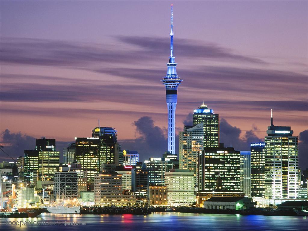 海边城市夜景