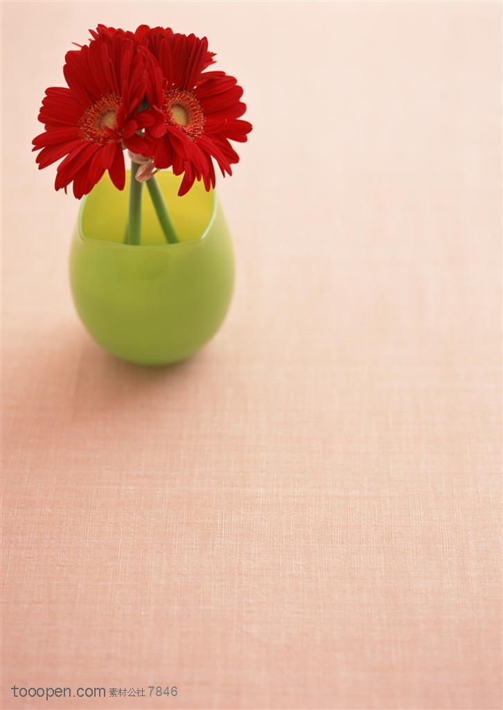 家俱饰品-插在花瓶里的三朵红色非洲菊
